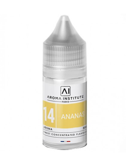 Arôme ananas / AROMA INSTITUT